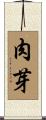 肉芽 Scroll