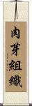 肉芽組織 Scroll