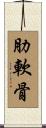 肋軟骨 Scroll