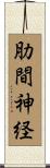 肋間神経 Scroll