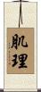 肌理 Scroll