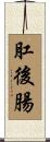 肛後腸 Scroll