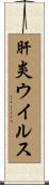 肝炎ウイルス Scroll