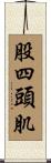 股四頭肌 Scroll