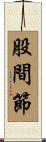 股間節 Scroll