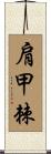 肩甲棘 Scroll