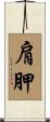 肩胛 Scroll
