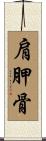 肩胛骨 Scroll