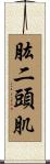肱二頭肌 Scroll