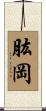 肱岡 Scroll