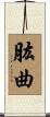 肱曲 Scroll