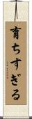 育ちすぎる Scroll