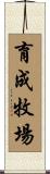育成牧場 Scroll