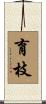 育枝 Scroll