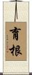 育根 Scroll