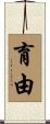 育由 Scroll