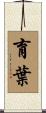 育葉 Scroll