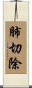 肺切除 Scroll