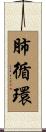 肺循環 Scroll