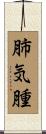 肺気腫 Scroll