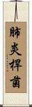 肺炎桿菌 Scroll