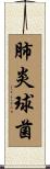 肺炎球菌 Scroll
