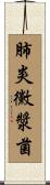 肺炎黴漿菌 Scroll