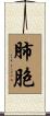 肺胞 Scroll