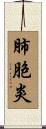 肺胞炎 Scroll