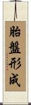 胎盤形成 Scroll