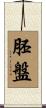 胚盤 Scroll