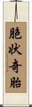 胞状奇胎 Scroll