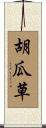 胡瓜草 Scroll