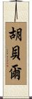 Huber Scroll