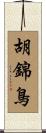 胡錦鳥 Scroll