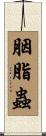 胭脂蟲 Scroll