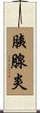 胰腺炎 Scroll