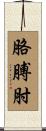 胳膊肘 Scroll