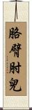 胳臂肘兒 Scroll