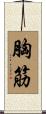 胸筋 Scroll