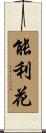 能利花 Scroll