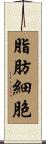 脂肪細胞 Scroll