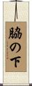 脇の下 Scroll