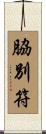 脇別符 Scroll