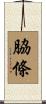 脇條 Scroll
