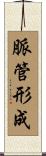脈管形成 Scroll