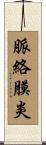 脈絡膜炎 Scroll