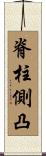 脊柱側凸 Scroll