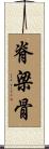 脊梁骨 Scroll