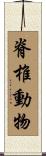 脊椎動物 Scroll